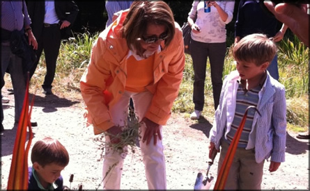 Congresswoman Pelosi at the AIDS Memorial Grove.jpg